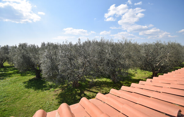 Apartman - Pescia Romana , Italija - IRU061 202