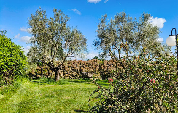 Ferienhaus - Bolsena , Italien - IRU114 103
