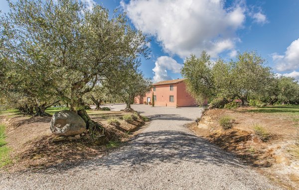 Domy wakacyjne - Montefiascone , Wlochy - IRU123 901