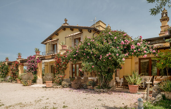 Ferienhaus - Canino , Italien - IRU367 81