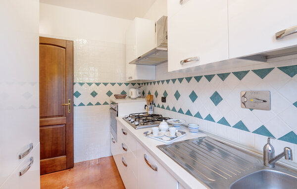 Domy wakacyjne - Monterosi , Wlochy - IRU381 402