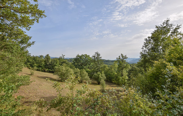 Apartment - Nespolo , Italy - IRU548 6