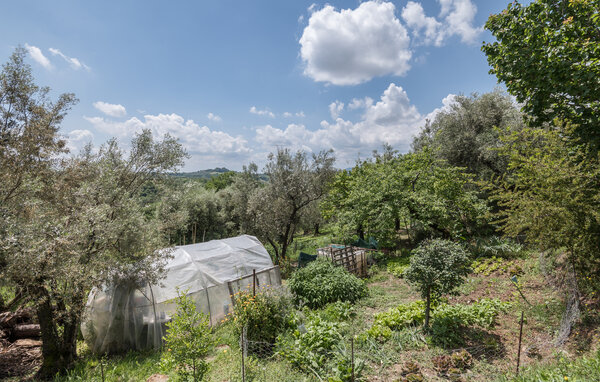 Holiday Home - Montebuono , Italy - IRU554 8
