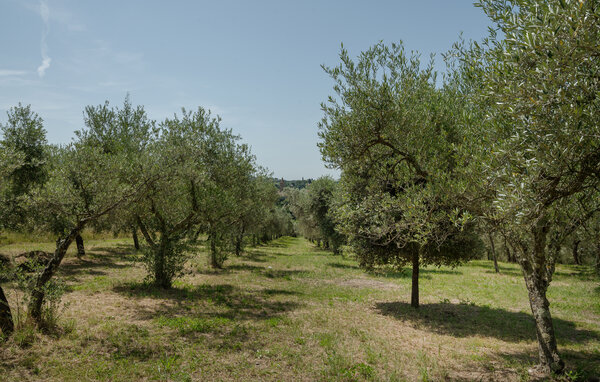 Casa vacanze - Torri in Sabina , Italia - IRU588 9