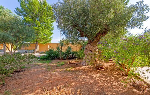 Holiday Home - Valle d'Itria , Italy - ISA037 85