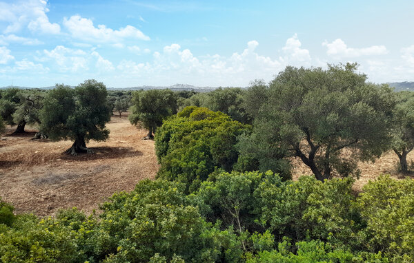 Kuća-za-odmor - Valle d'Itria , Italija - ISA040 801