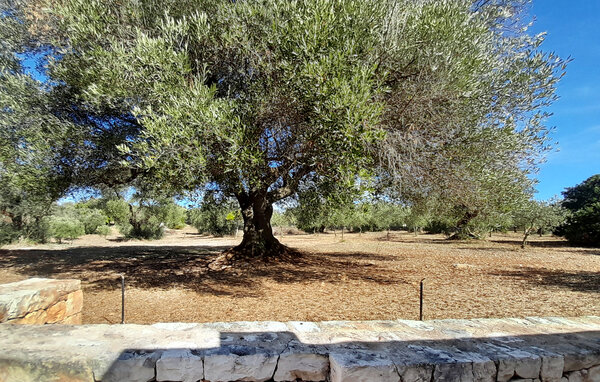 Casa vacanze - Ostuni , Italia - ISA099 7