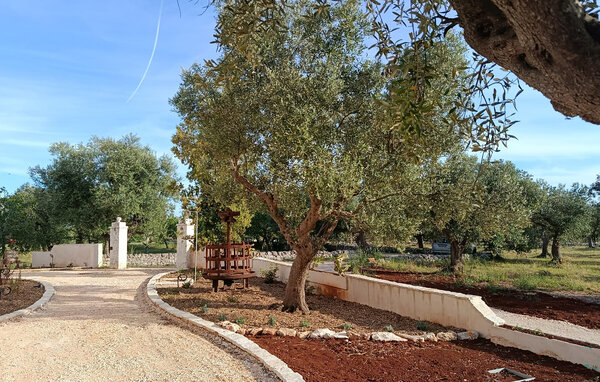 Vakantiehuis - Alberobello , Italië - ISA304 1