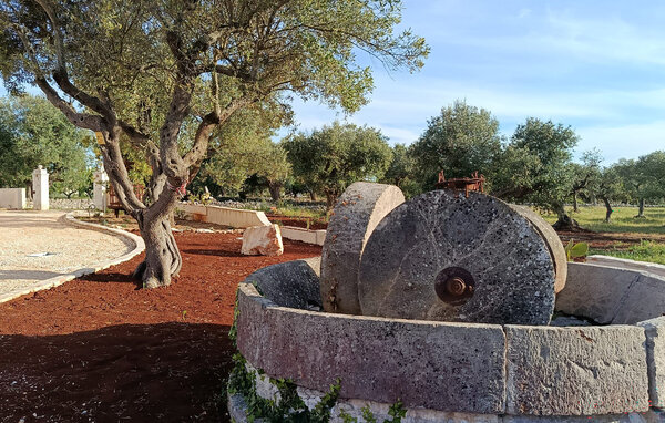 Vakantiehuis - Alberobello , Italië - ISA304 101