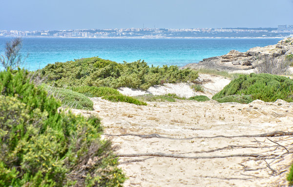 Ferienwohnung - Gallipoli , Italien - ISA364 901