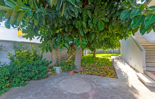 Casa vacanze - Torre Specchia Ruggeri , Italia - ISA538 104