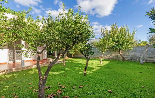 Casa vacanze - Torre Specchia Ruggeri , Italia - ISA538 6
