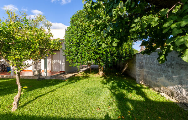 Casa vacanze - Torre Specchia Ruggeri , Italia - ISA538 8