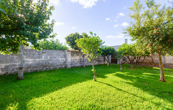Casa vacanze - Torre Specchia Ruggeri , Italia - ISA538 105