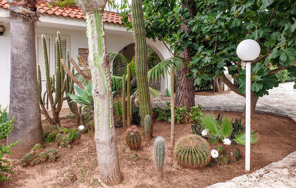 Apartamento - Frigole , Italia - ISA539 6