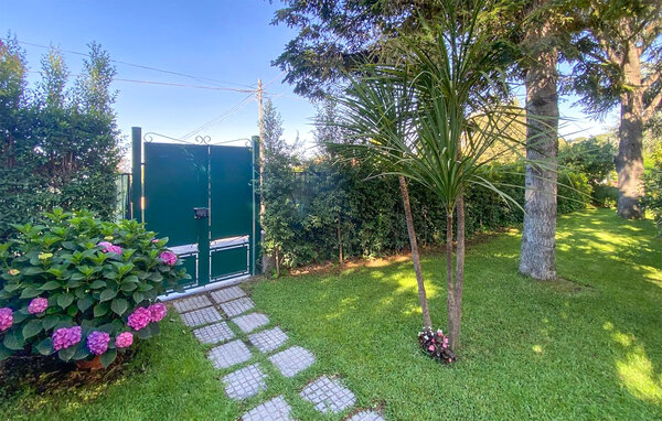 Apartment - Trecastagni , Italy - ISC102 107