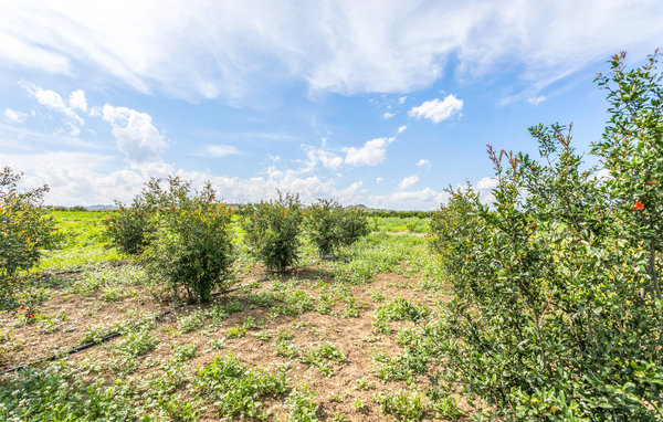 Location de vacances - Paternò , Italie - ISC145 801