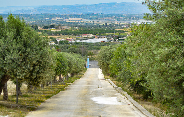 Ferienhaus - Marzamemi , Italien - ISC252 203
