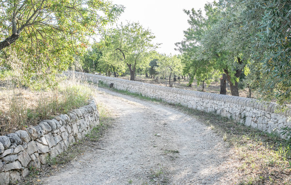 Domy wakacyjne - Noto , Wlochy - ISC309 802