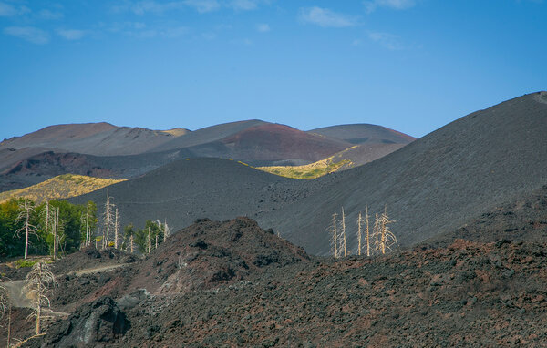 Casa vacanze - Mascali , Italia - ISC579 901