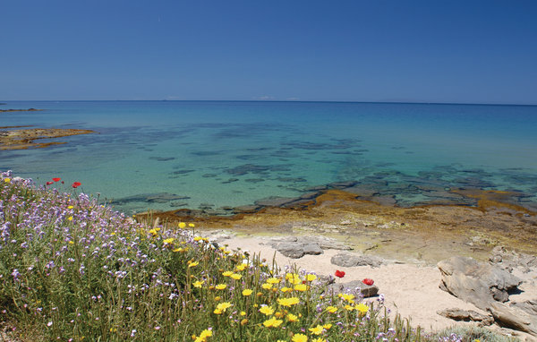 Semesterhus - Castelsardo , Italien - ISD425 904