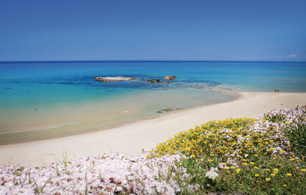 Casa di vacanze 