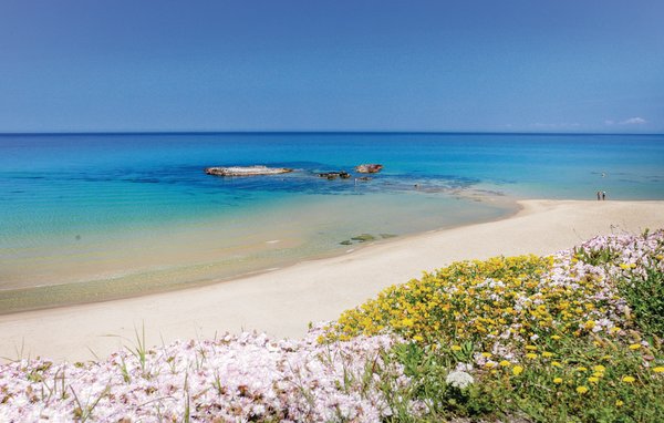 Casa de vacaciones 