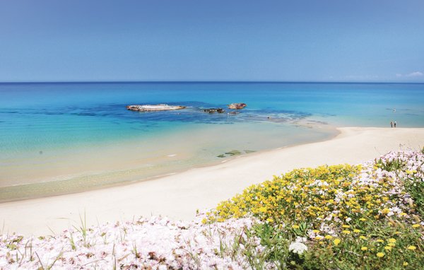 Kuća-za-odmor - Costa Rei , Italija - ISD806 5