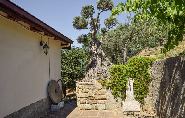 Kuća-za-odmor - Librizzi , Italija - ISP341 803