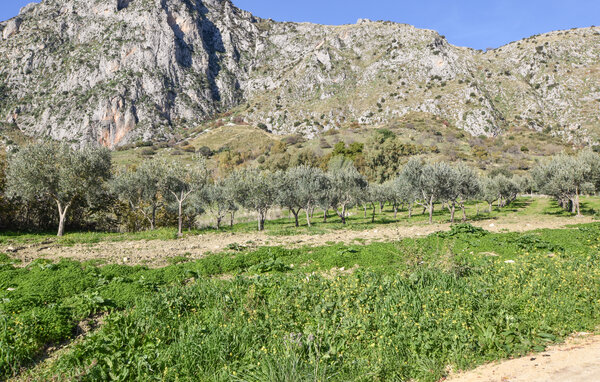 Domy wakacyjne - San Giuseppe Jato , Wlochy - ISP349 804