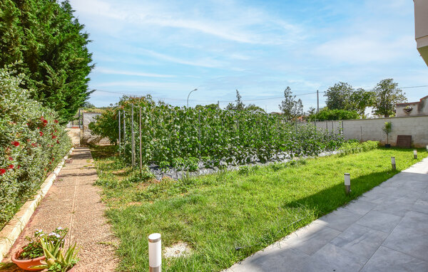 Apartment - Trappeto , Italy - ISP352 801