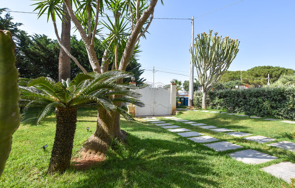 Apartment - Trappeto , Italy - ISP352 803