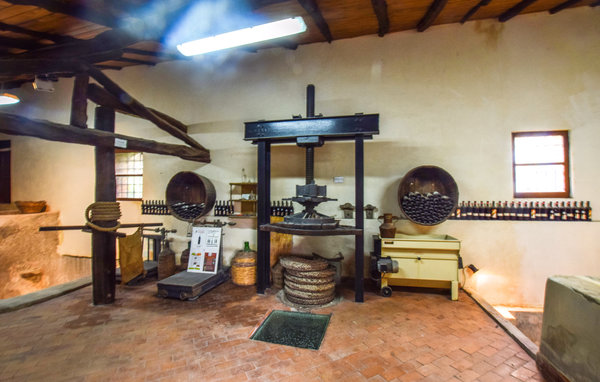 Casa vacanze - Santa Lucia del Mela , Italia - ISP356 801