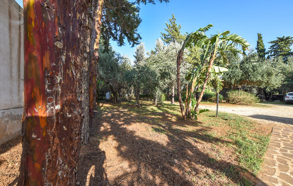 Semesterhus - Carini , Italien - ISP381 104