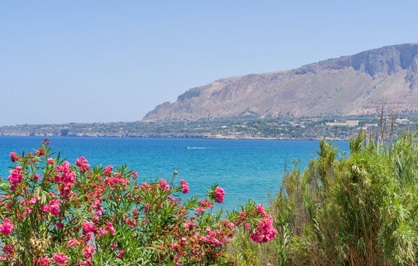 Apartament - Trappeto , Wlochy - ISP465 902