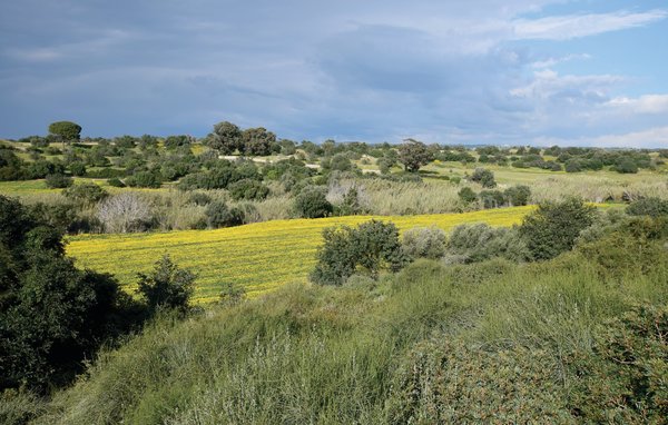 Casa vacanze - Ragusa , Italia - ISR125 904