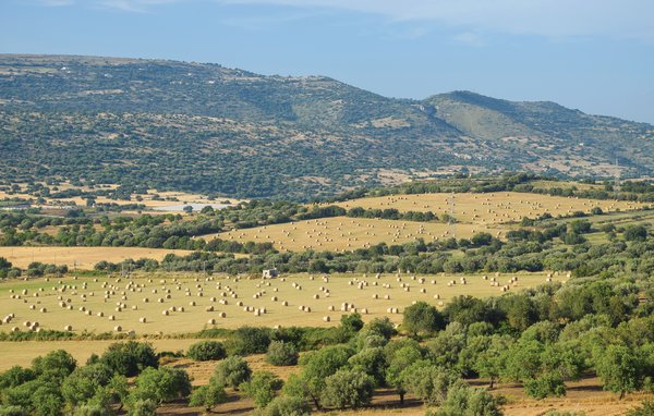 Domy wakacyjne - Chiaramonte Gulfi , Wlochy - ISR224 902