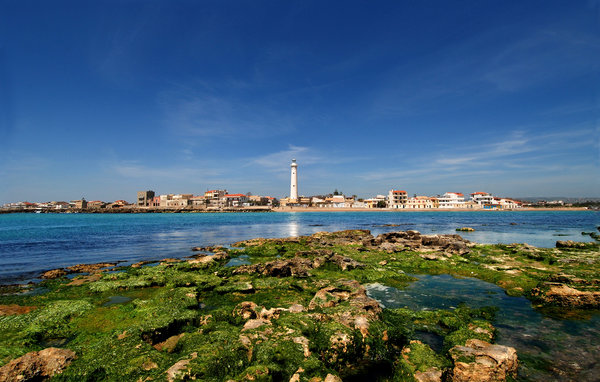 Vakantiehuis - Caucana , Italië - ISR369 904