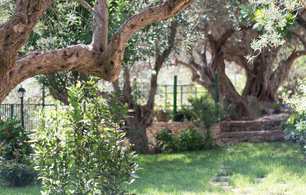 Casa de vacaciones - Chiaramonte Gulfi , Italia - ISR503 106