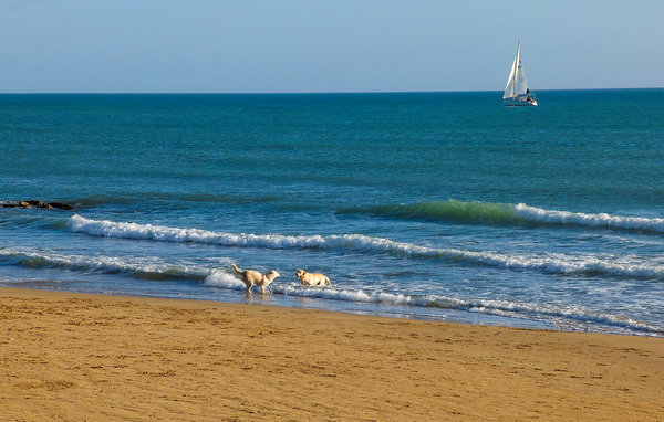 Holiday Home - Marina di Ragusa , Italy - ISR529 9