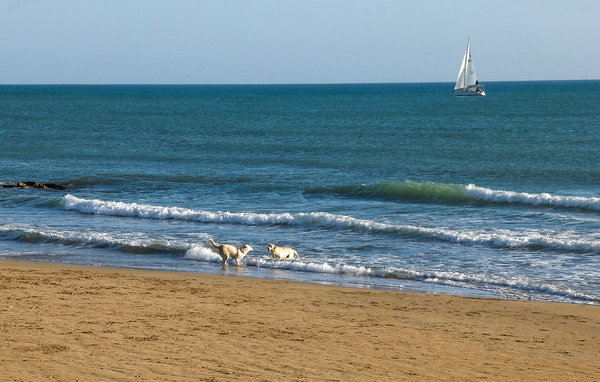 Domy wakacyjne - Marina di Modica , Wlochy - ISR626 901