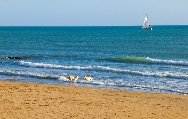 Holiday Home - Marina di Ragusa , Italy - ISR695 9