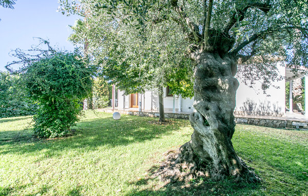 Ferienhaus - Modica , Italien - ISR700 8