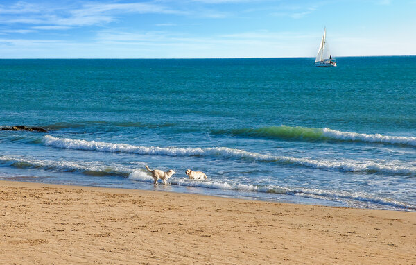 Feriehus - Marina di Ragusa , Italia - ISR763 902