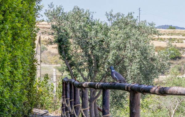 Domy wakacyjne - Giarratana , Wlochy - ISR830 801