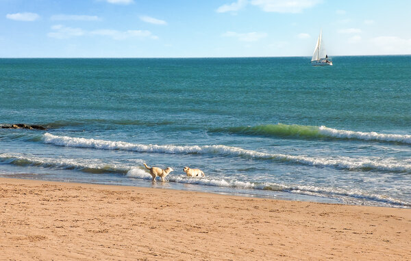 Apartment - Marina di Ragusa , Italy - ISR835 7