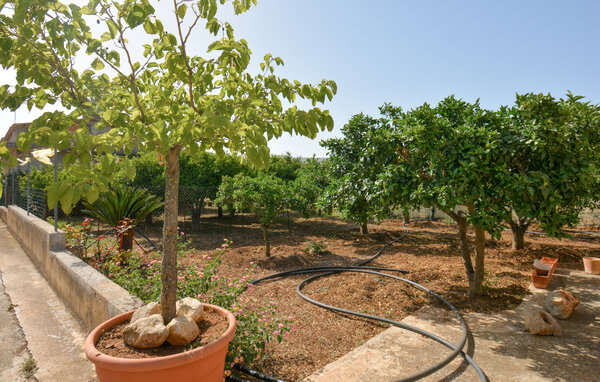 Casa de vacaciones - Comiso , Italia - ISR878 5