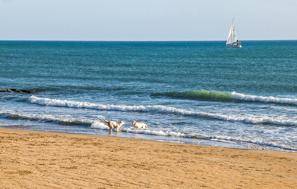 Vakantiehuis - Ragusa Ibla , Italië - ISR924 905