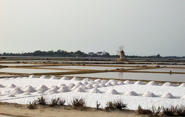 Ferienwohnung - Lido Fiori , Italien - ISR925 904