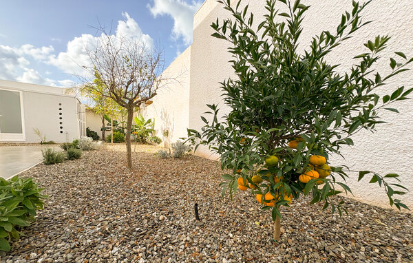 Location de vacances - Marina di Ragusa , Italie - ISR941 103